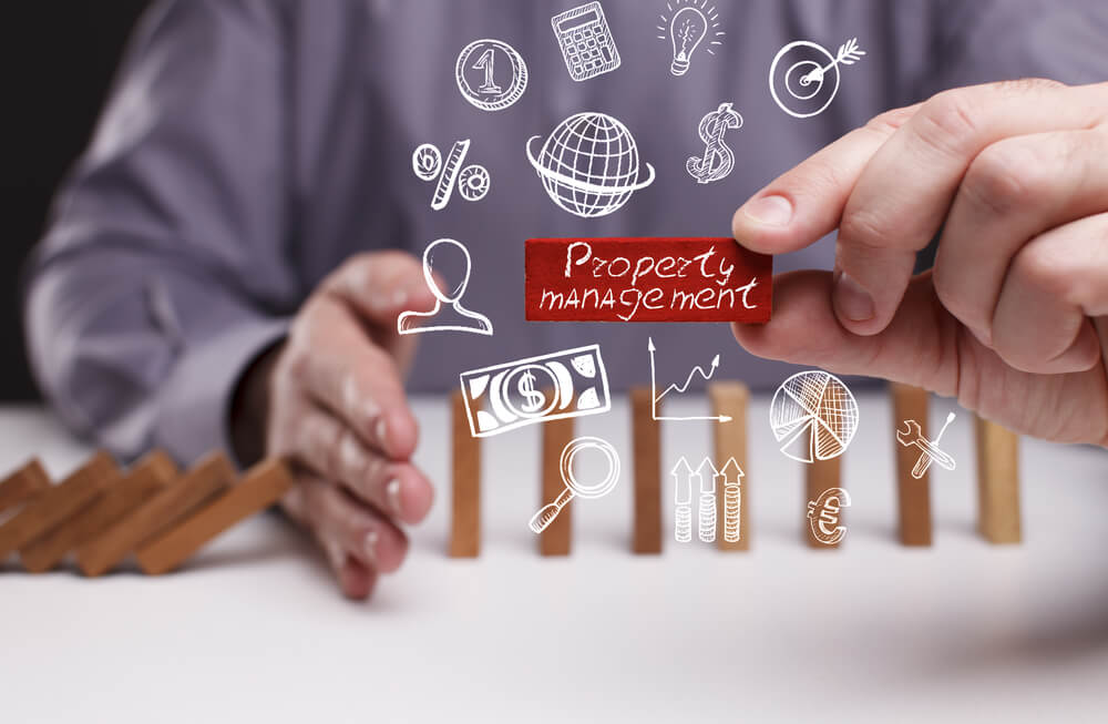 seo management company