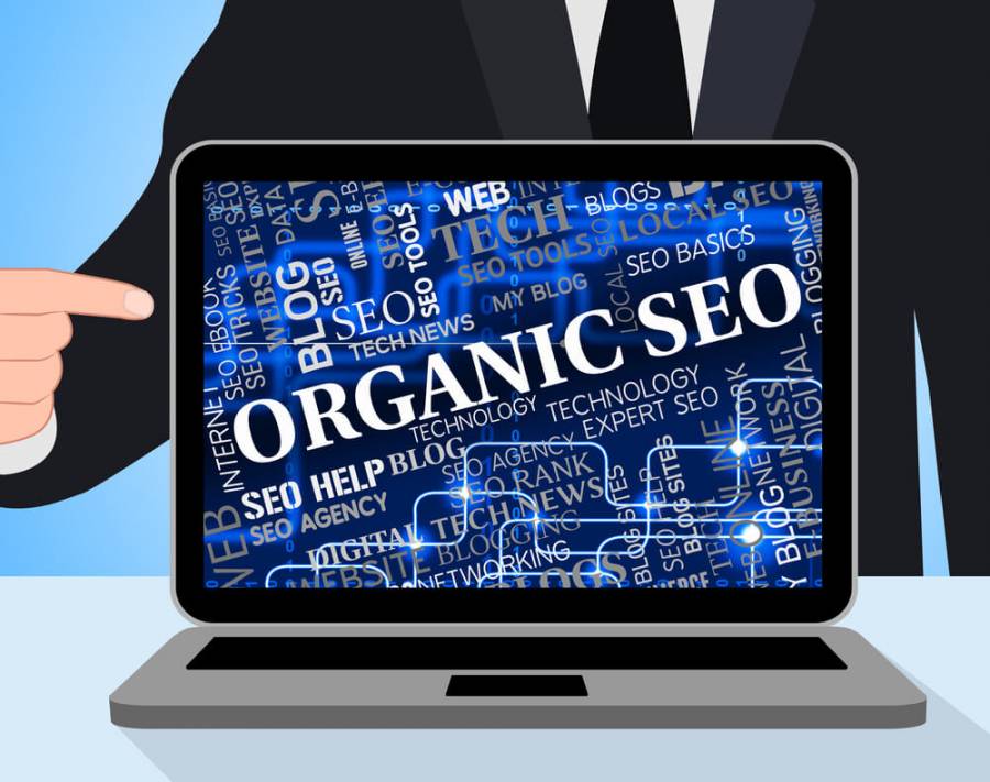 organic seo services