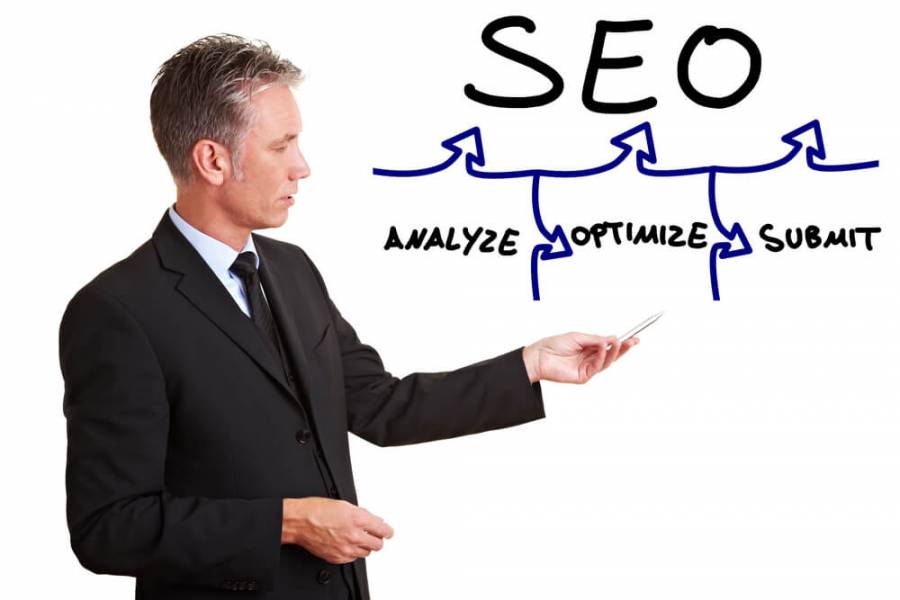 professional seo consultant